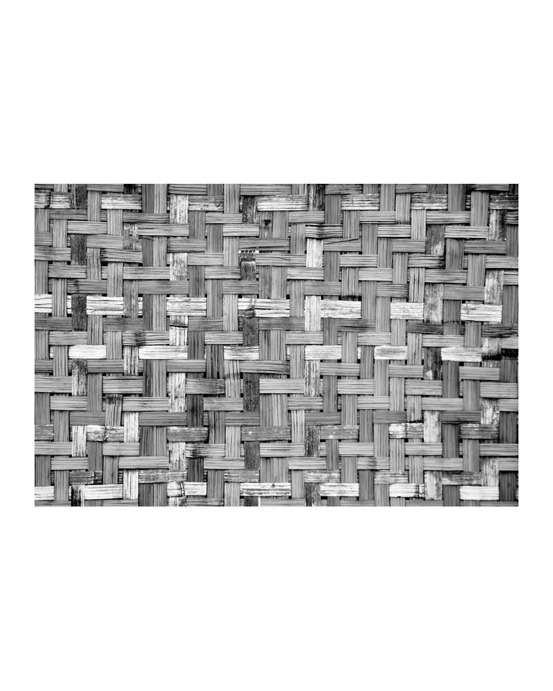 Carta da Parati 6500320 PALM TREE FRAME GREY - COORDONNE