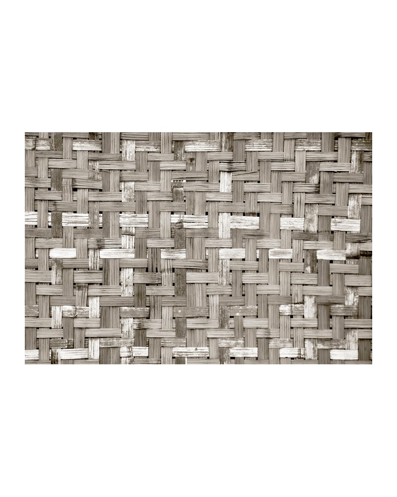 Carta da Parati 6500321 PALM TREE FRAME SEPIA - COORDONNE