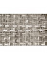 Carta da Parati 6500321 PALM TREE FRAME SEPIA - COORDONNE
