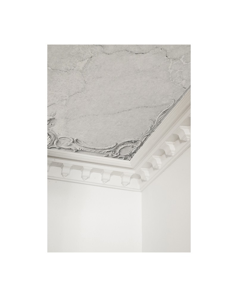 Carta da Parati 6500401 BROKEN CEILING GREY - COORDONNE