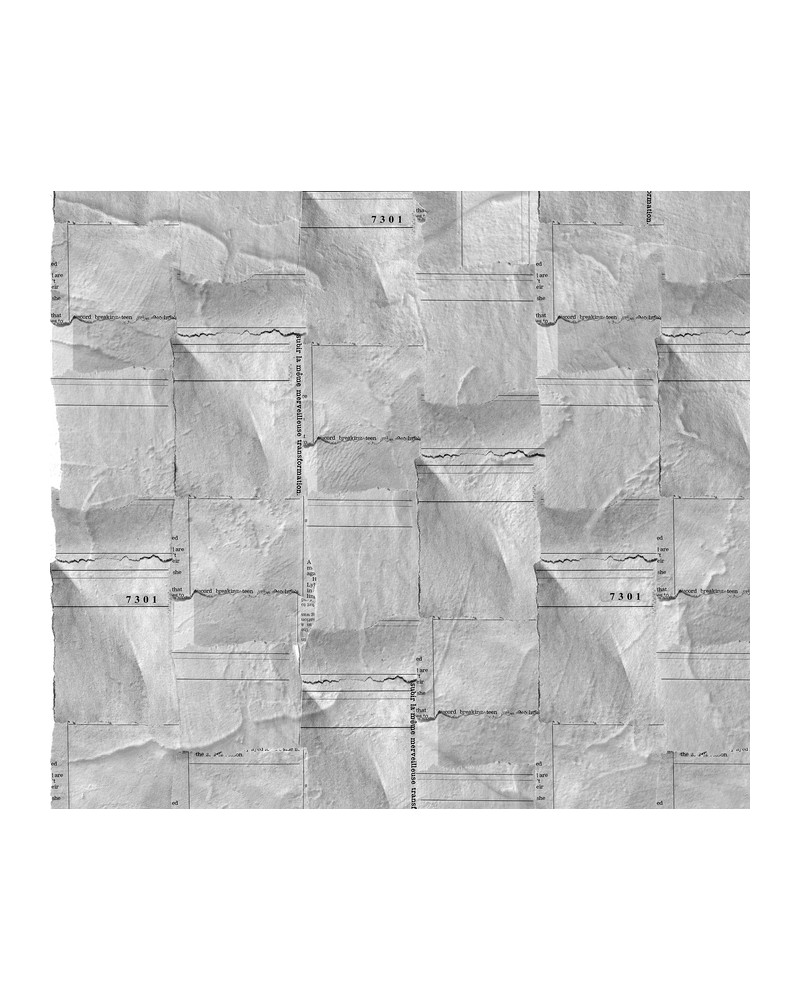 Wallpaper 6500504 NEWSPAPER PIECES - COORDONNE