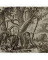 Carta da Parati 6500506 ELEPHANTS - COORDONNE
