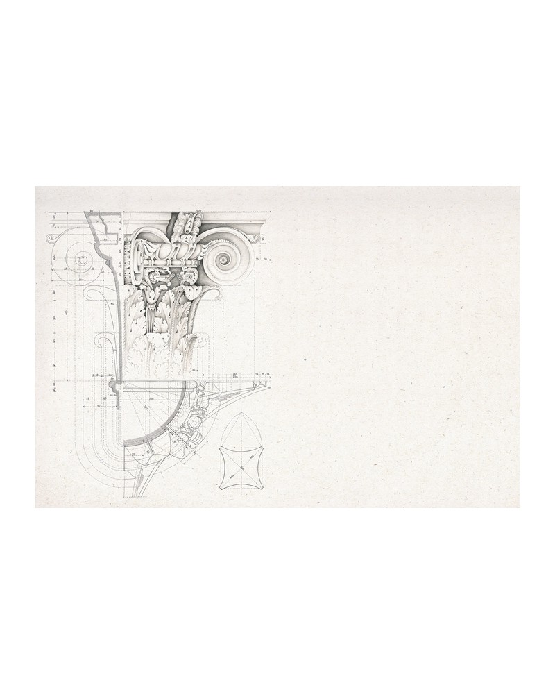 Papel Pintado 6500604 ROMA - COORDONNE