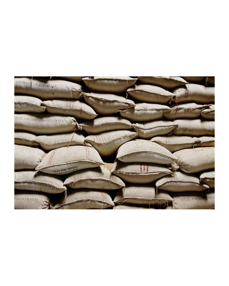 Papier peint 6500801 SACKS - COORDONNE