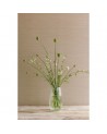 Wallpaper CFW7179-12 SANDRINE Red - COLEFAX AND FOWLER