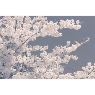 Carta da Parati R13001-8 BLOSSOM FOR THE BEES - REBEL WALLS
