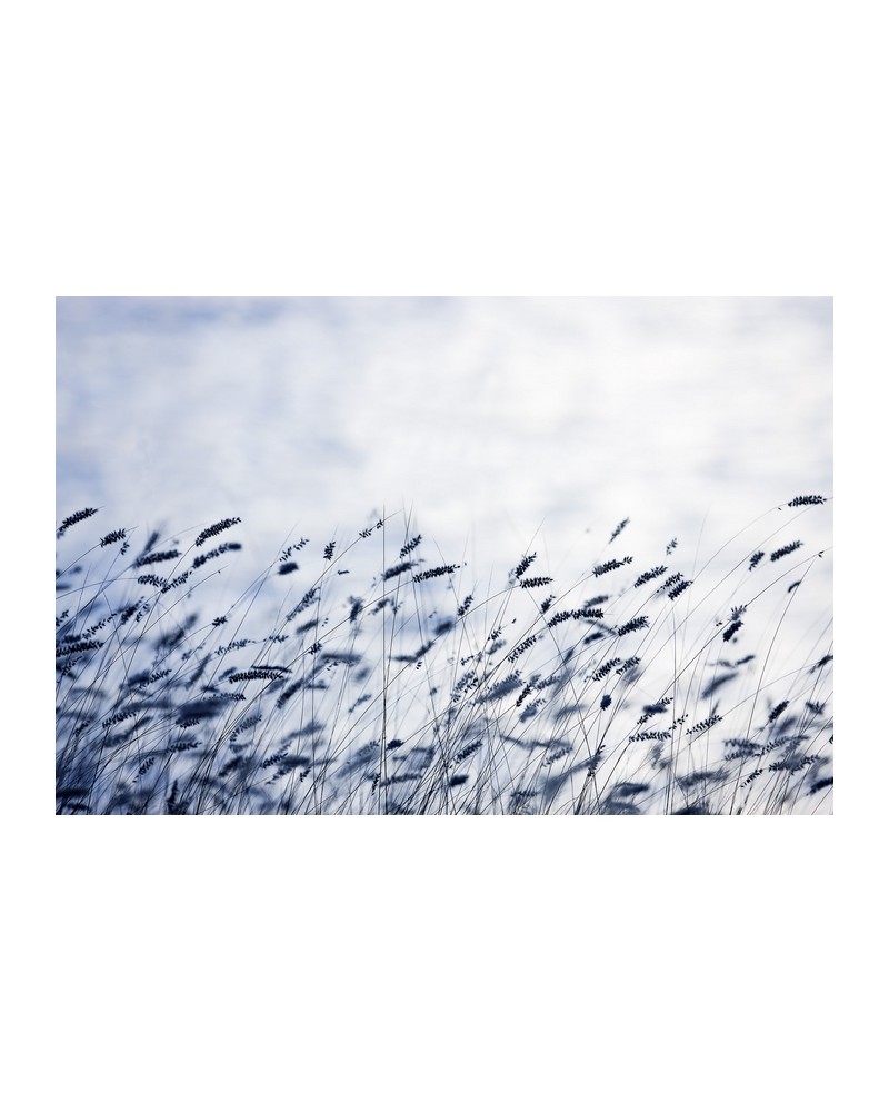 Carta da Parati R12971-8 SCANDINAVIAN LIGHT - REBEL WALLS Carta da Parati R12971-8 SCANDINAVIAN LIGHT - REBEL WALLS