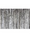 Carta da Parati R13031-8 BIRCH TRUNKS - REBEL WALLS