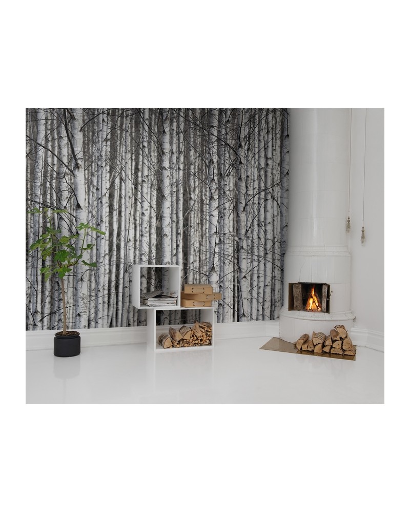 Carta da Parati R13031-8 BIRCH TRUNKS - REBEL WALLS