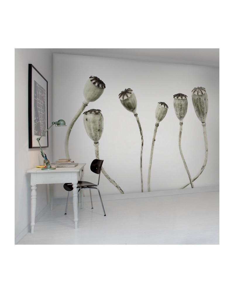 Carta da Parati R12991-8 SIMPLE SEEDPOO - REBEL WALLS