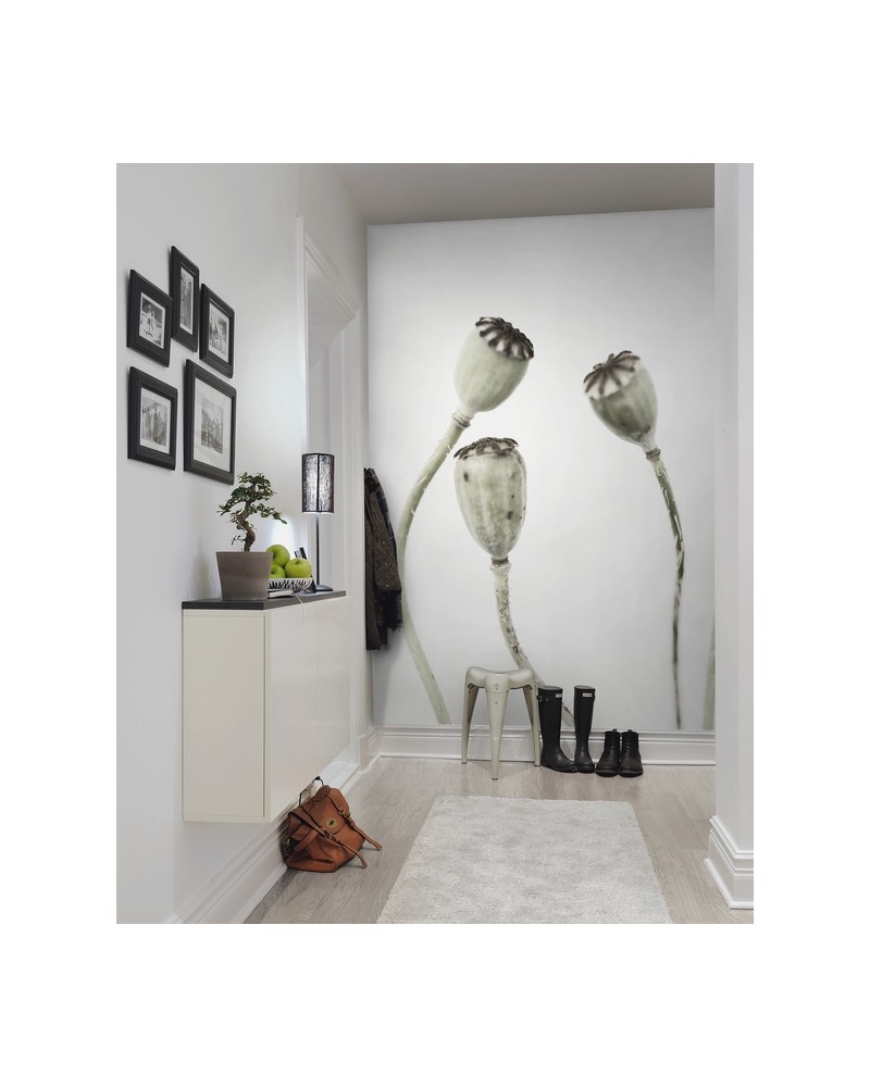 Carta da Parati R12991-8 SIMPLE SEEDPOO - REBEL WALLS