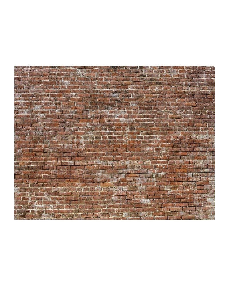 Tapete 6800619 BRICKS BRICK - COORDONNE Tapete 6800619 BRICKS BRICK - COORDONNE