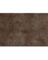 6800621 BROCADE COPPER