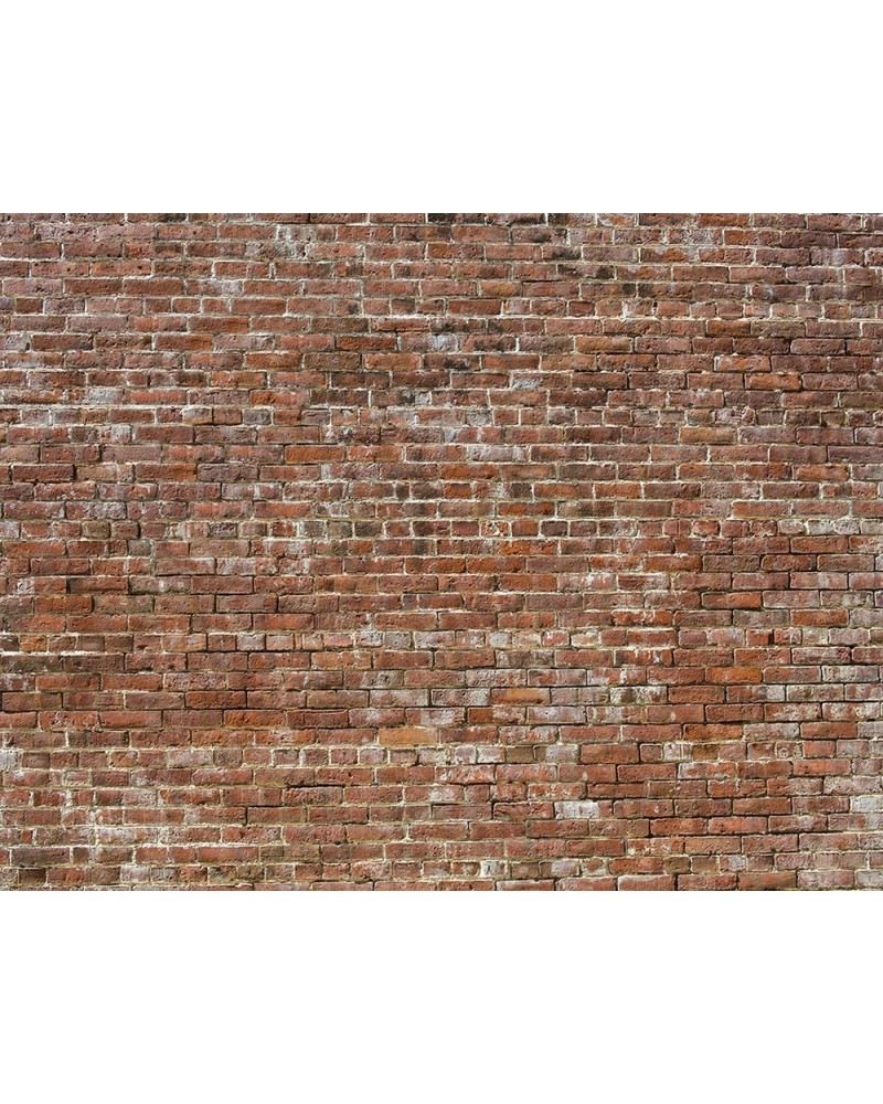 Wallpaper 6800619 BRICKS BRICK - COORDONNE
