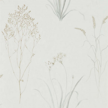 Papel Pintado FARNE GRASSES DEBB216487 - Sanderson