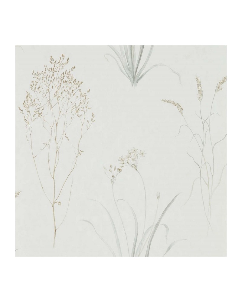 Papel Pintado FARNE GRASSES DEBB216487 - Sanderson Papel Pintado FARNE GRASSES DEBB216487 - Sanderson