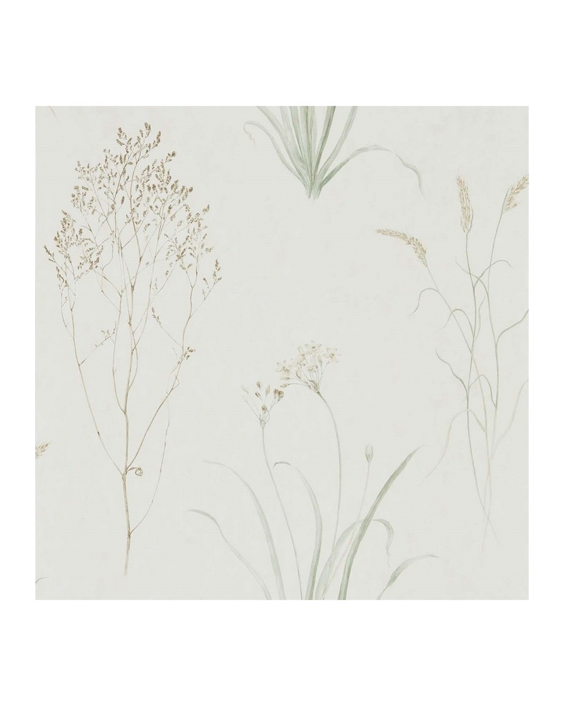 Papel de parede FARNE GRASSES DEBB216488 - Sanderson Papel de parede FARNE GRASSES DEBB216488 - Sanderson