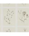 Papel Pintado LITTLE THISTLES DEBB216511 - Sanderson