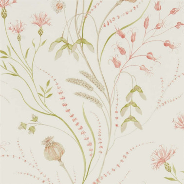 Papel Pintado SUMMER HARVEST DEBB216495 - Sanderson