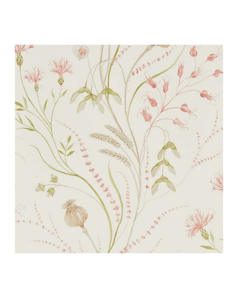 Papel Pintado SUMMER HARVEST DEBB216495 - Sanderson Papel Pintado SUMMER HARVEST DEBB216495 - Sanderson