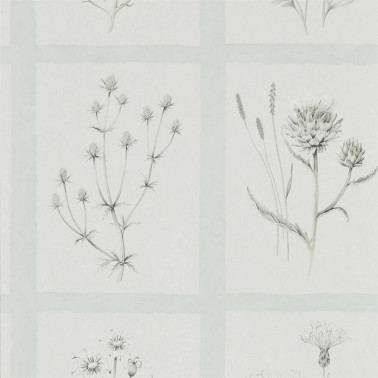 Papier peint LITTLE THISTLES DEBB216513 - Sanderson