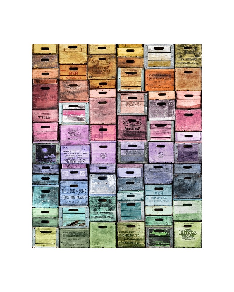 Papel Pintado R13441 - REBEL WALLS Papel Pintado R13441 - REBEL WALLS