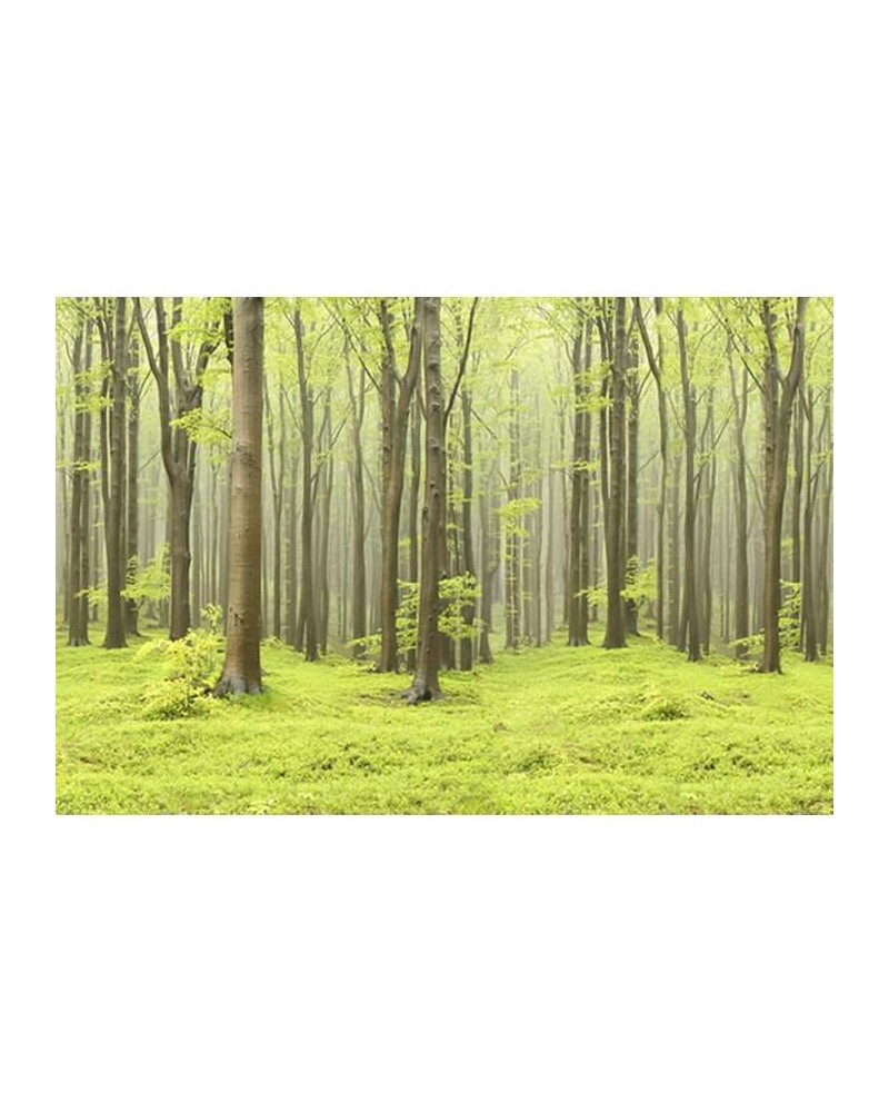 Papel Pintado R10101 Deciduous Forest - REBEL WALLS Papel Pintado R10101 Deciduous Forest - REBEL WALLS