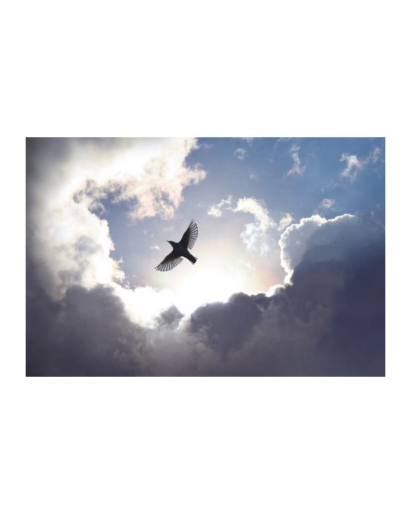 Papel Pintado R10151 Free as a Bird - REBEL WALLS Papel Pintado R10151 Free as a Bird - REBEL WALLS
