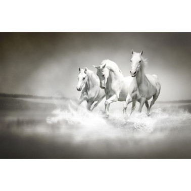 Carta da Parati R10201 Horses - REBEL WALLS