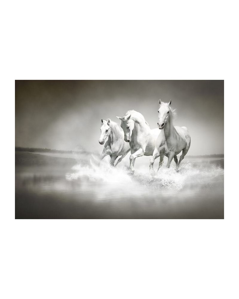 Papel Pintado R10201 Horses - REBEL WALLS Papel Pintado R10201 Horses - REBEL WALLS