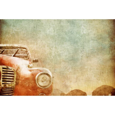 Carta da Parati R10551 The Experienced Car - REBEL WALLS