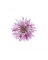 Carta da Parati R10611 Flower - REBEL WALLS