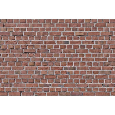Papel Pintado R10961 Brick Wall, red - REBEL WALLS