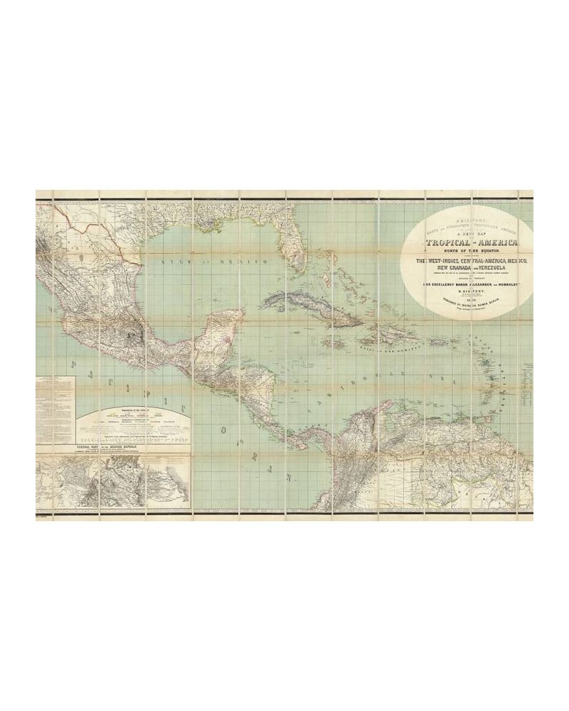 Papier peint R11381 Tropical America - REBEL WALLS Papier peint R11381 Tropical America - REBEL WALLS