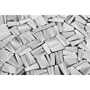 Carta da Parati R11513 Books, white - REBEL WALLS
