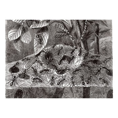 Carta da Parati R11691 Underworld - REBEL WALLS
