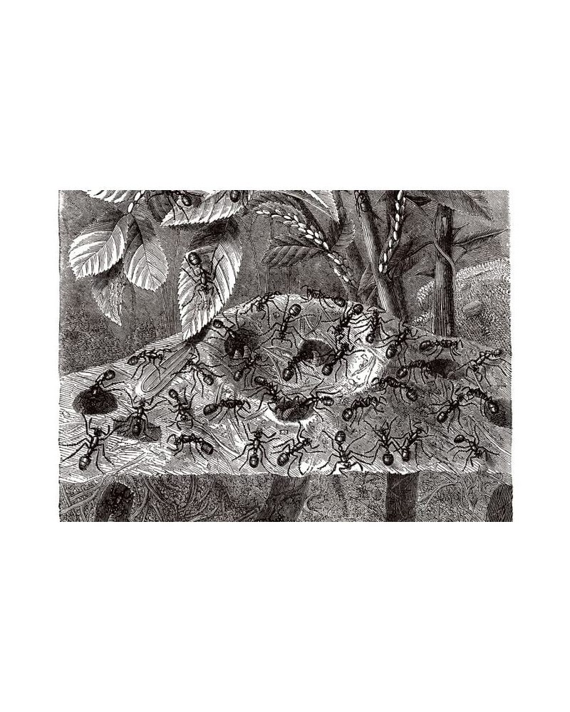 Papel Pintado R11691 Underworld - REBEL WALLS Papel Pintado R11691 Underworld - REBEL WALLS