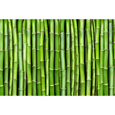 Carta da Parati R11821 Bamboo - REBEL WALLS