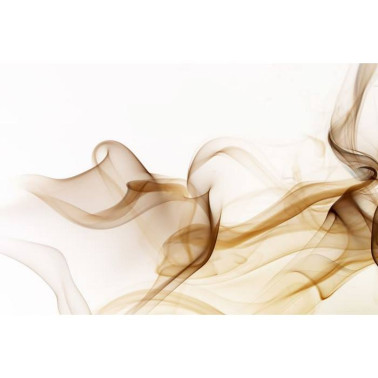 Carta da Parati R11891 Smoke - REBEL WALLS