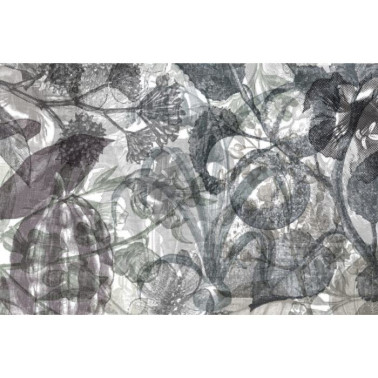 Carta da Parati R12023 Jelly Belly Plants, black & white - REBEL WALLS