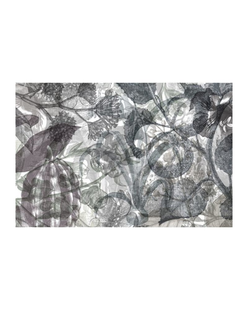 Tapete R12023 Jelly Belly Plants, black & white - REBEL WALLS Tapete R12023 Jelly Belly Plants, black & white - REBEL WALLS