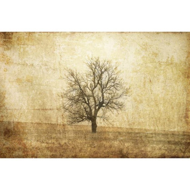 Carta da Parati R12081 The Lonely Tree - REBEL WALLS