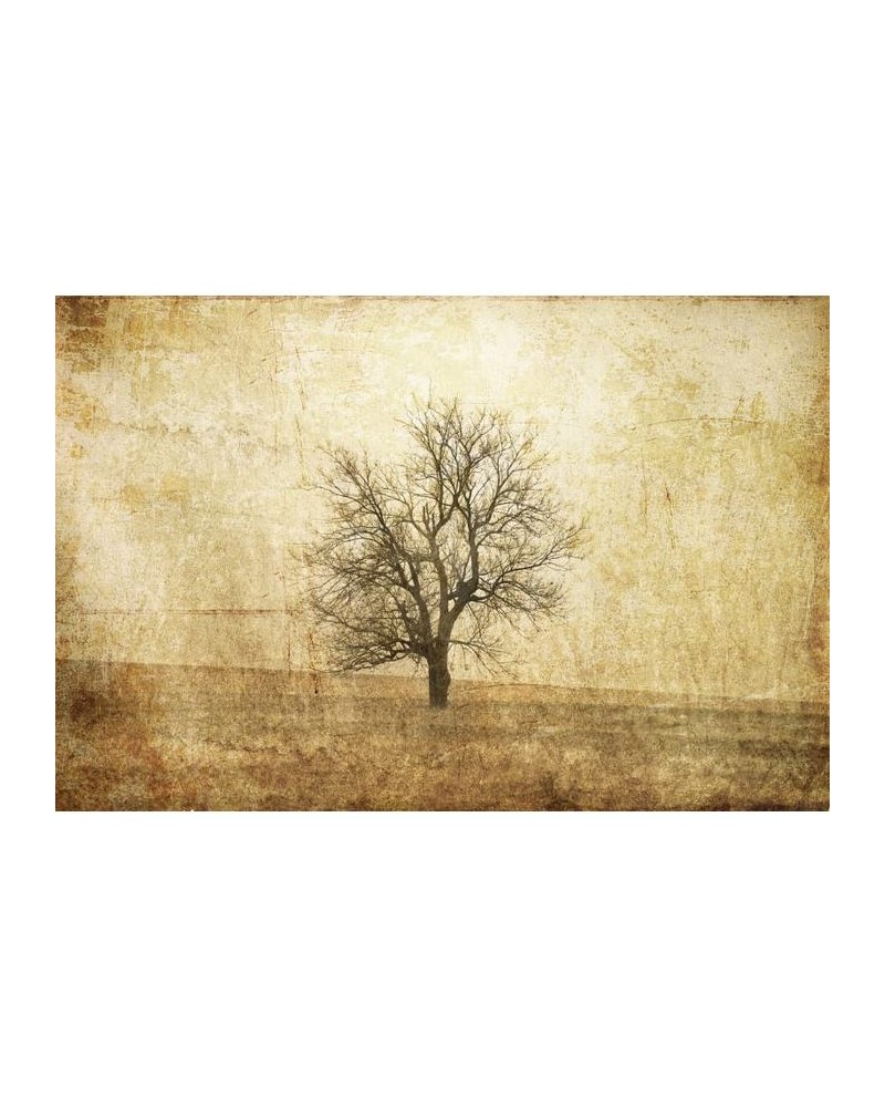 Carta da Parati R12081 The Lonely Tree - REBEL WALLS Carta da Parati R12081 The Lonely Tree - REBEL WALLS
