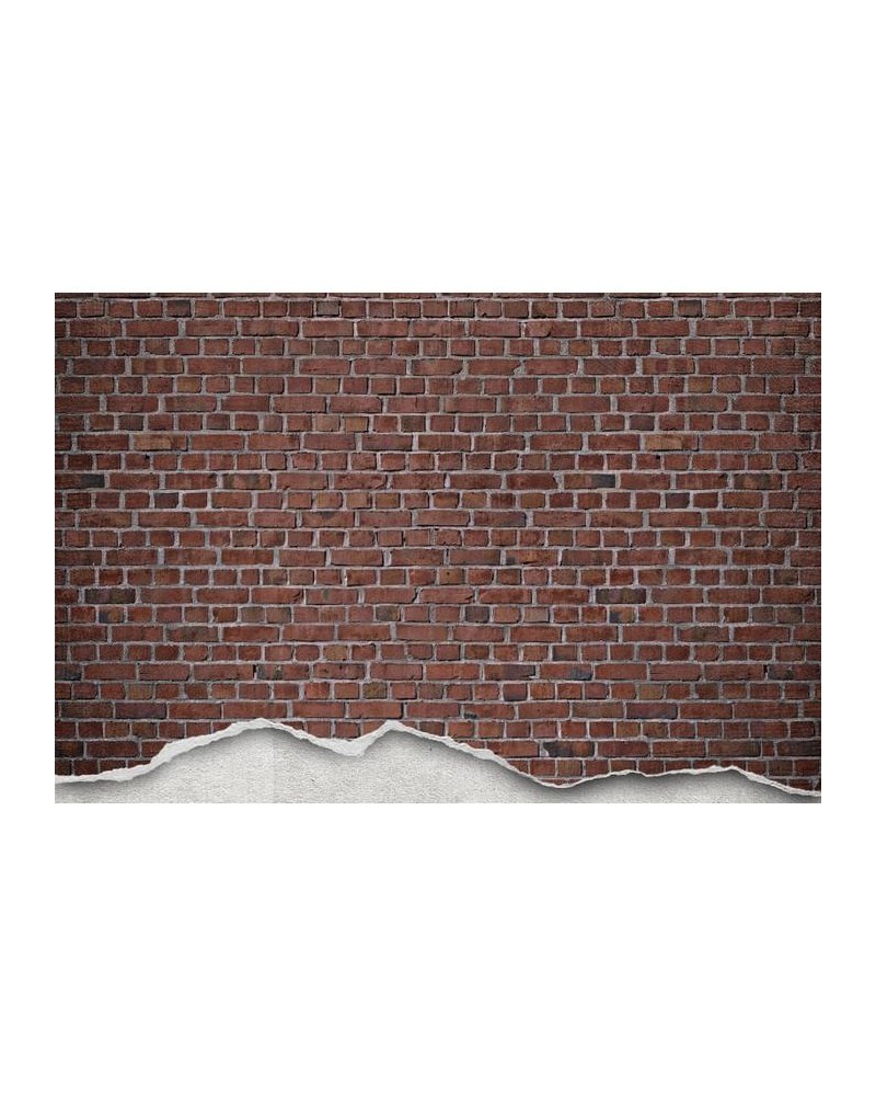 Tapete R12221 Well-Worn Brick Wall, red - REBEL WALLS Tapete R12221 Well-Worn Brick Wall, red - REBEL WALLS