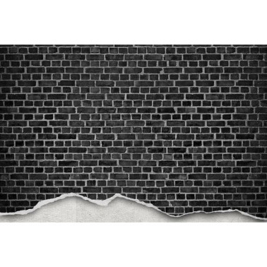 Carta da Parati R12222 Well-Worn Brick Wall, black - REBEL WALLS