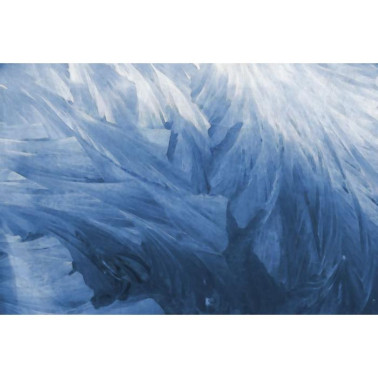 Carta da Parati R12281 Feathers - REBEL WALLS