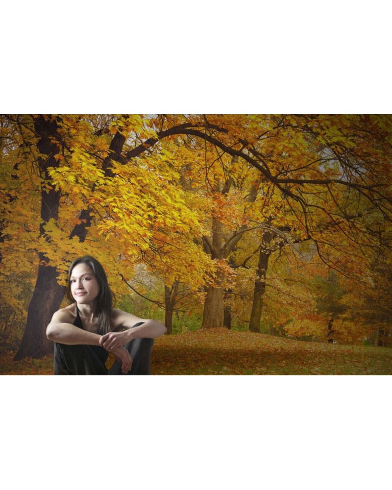 Carta da Parati R10191 Yellow Leafy Trees - REBEL WALLS