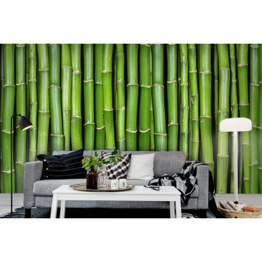 R11821 Bambu