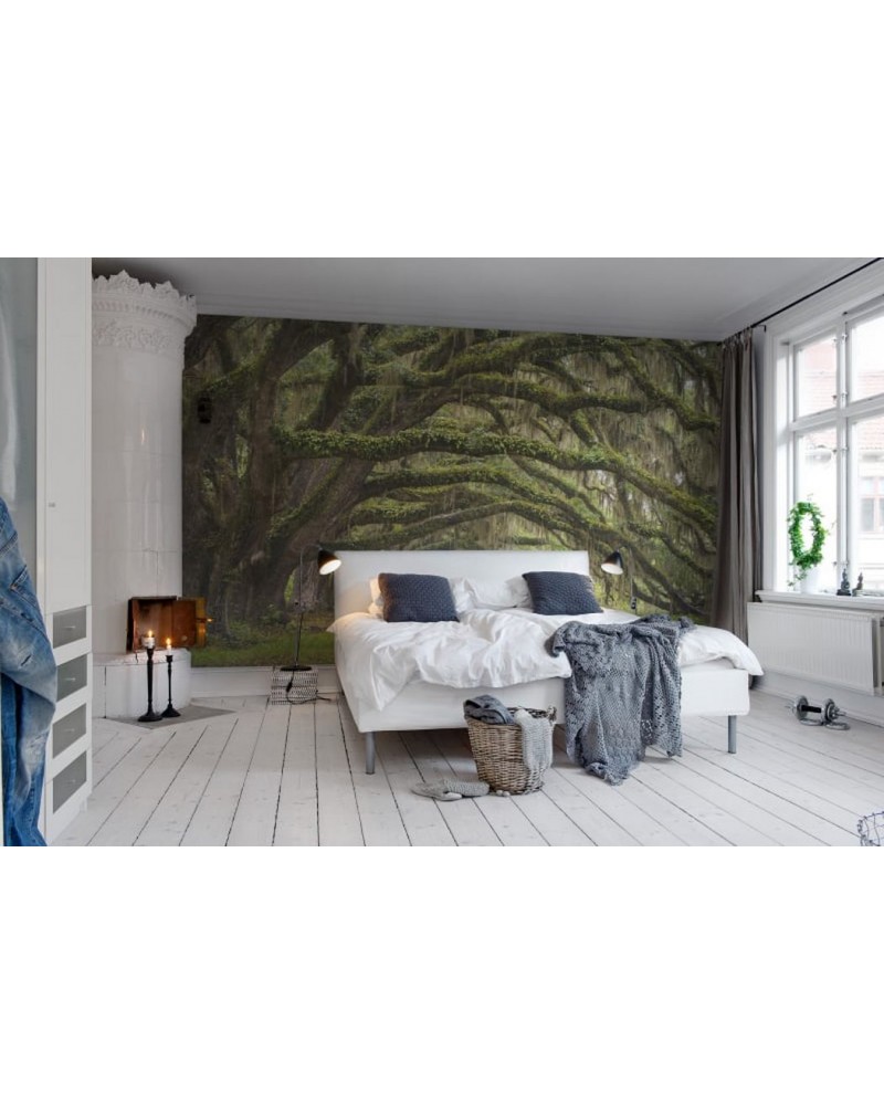 Carta da Parati R12481 Fairy Forest - REBEL WALLS