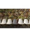 Papel de parede R12682 Big Bloom, amber - REBEL WALLS